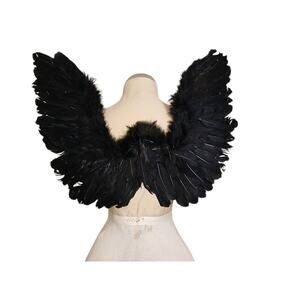 Feather Black Wings Costume Cosplay Fairy Crow Bird Stage Theatre Halloween New!